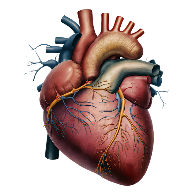 Lymphatic Drainage Therapy boosts circulation.